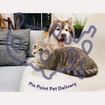 Pin Point Pet Delivery
