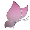 Pink Butterfly Inc.
