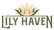 The Lily Haven  