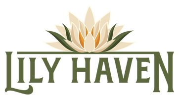 The Lily Haven  