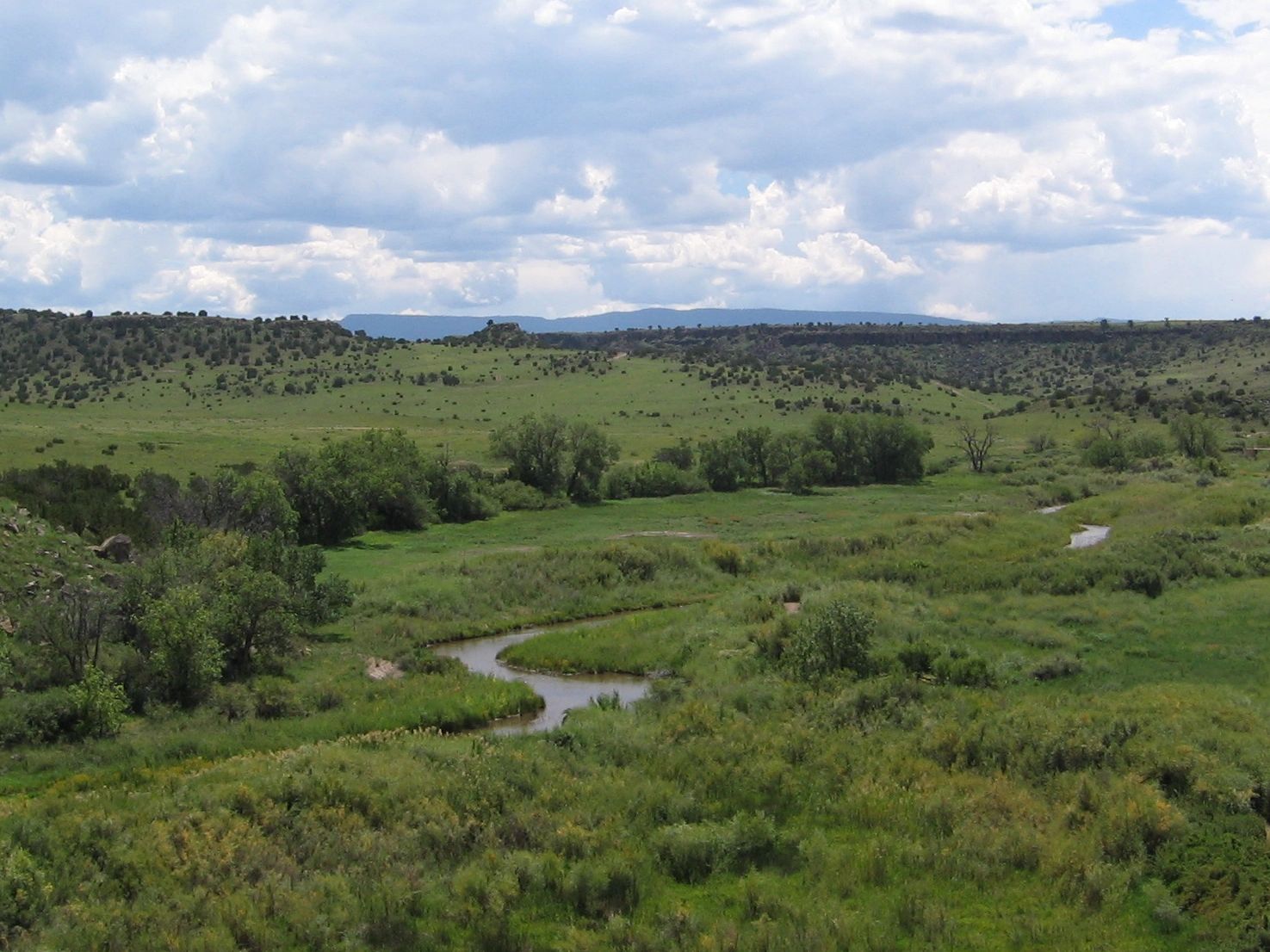 Wenima is a unique acreage that is for sale in the White Mountains, near Springerville, Arizona. The