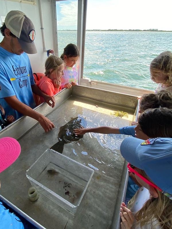 Touch tank on research boat, fluke.