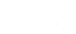 southasianinsights.com