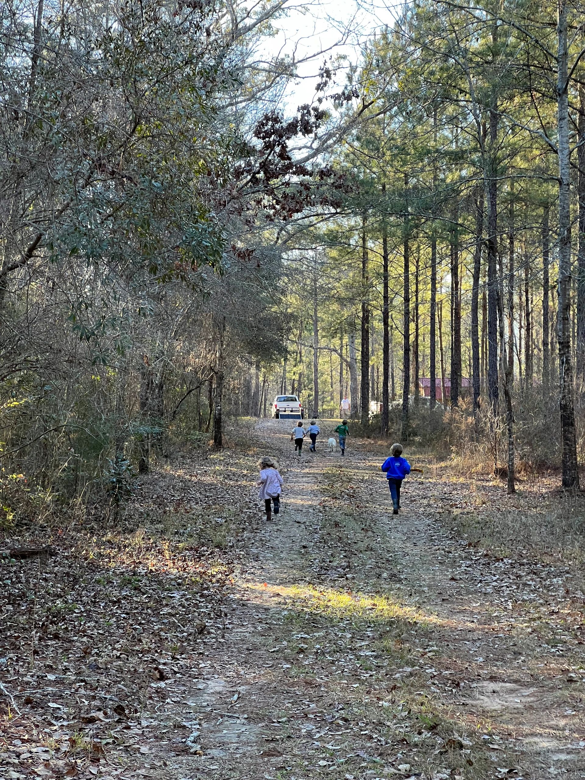 Ollie RV Park - Main photo