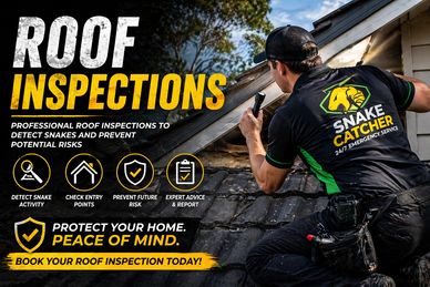 Detailed roof inspection service to detect snake activity, identify entry points and prevent snakes 