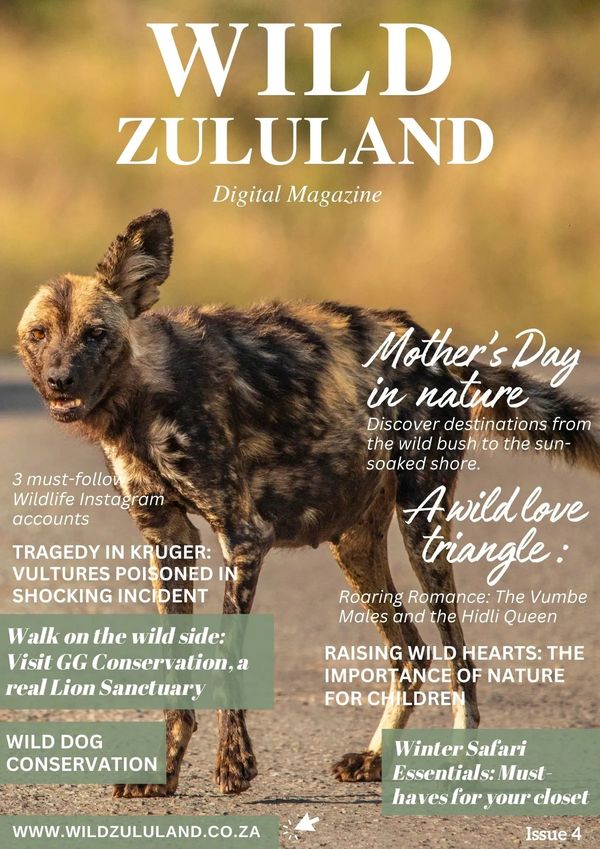 Cover of Wild Zululand magazine featuring a wild dog and conservation topics.