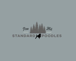 Pine Hill Standard Poodles
