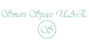 Smart Space LLC