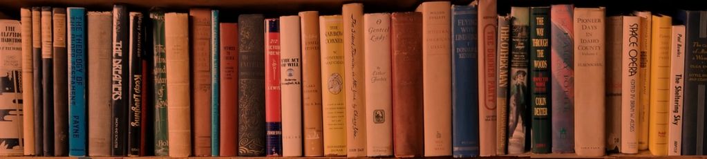 Books, vintage, rare, first editions, signed, out of print, bookseller, buyer, reseller