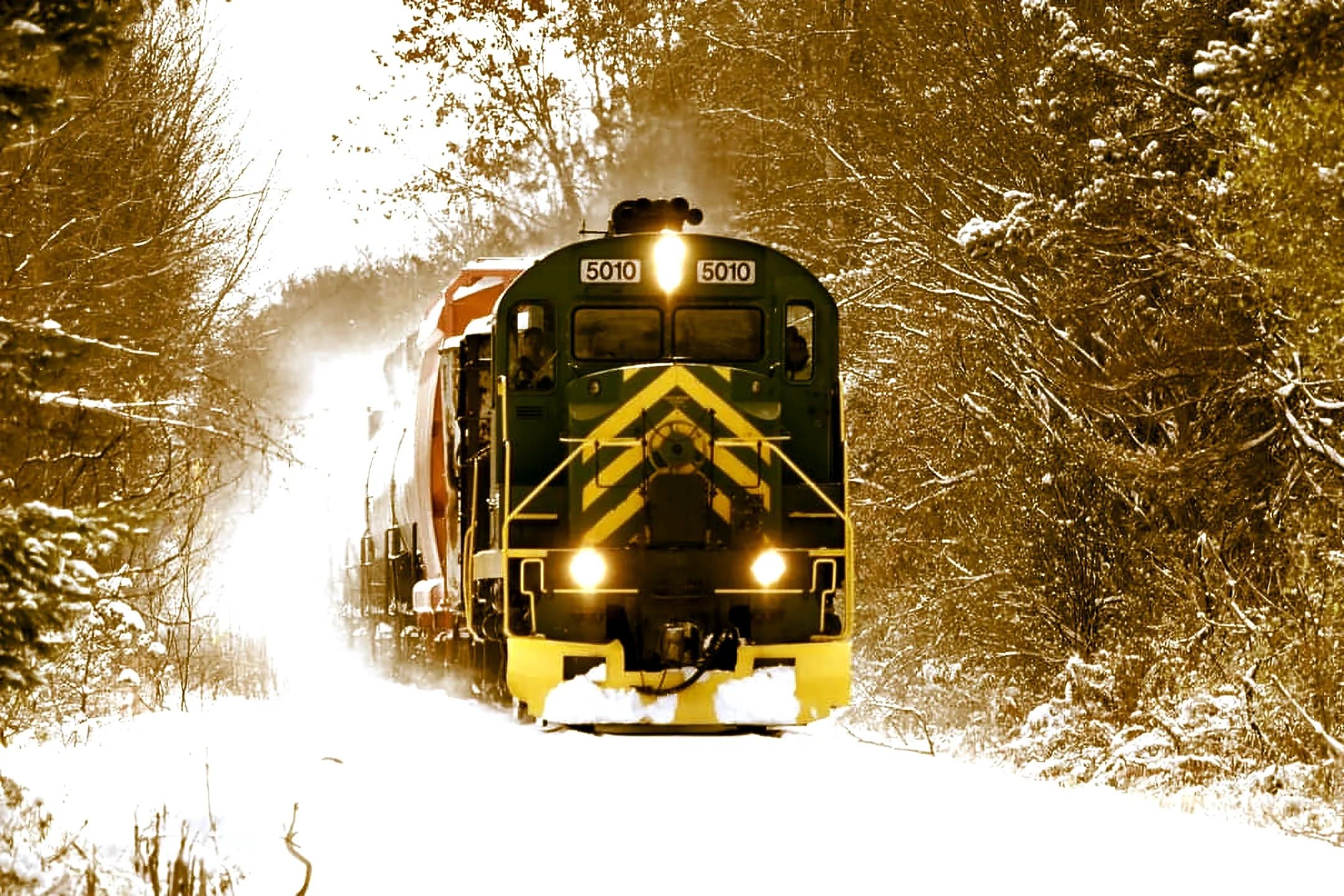 Buffalo Southern Railroad Home