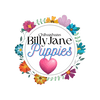 BillyJane Chihuahua Puppies
