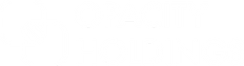 Opacity Holdings
