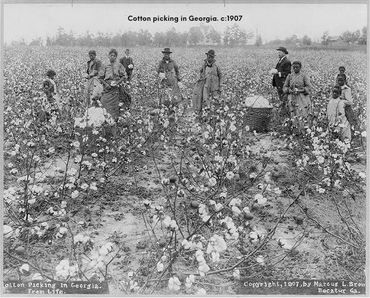 Title: Cotton picking in Georgia. c:1907