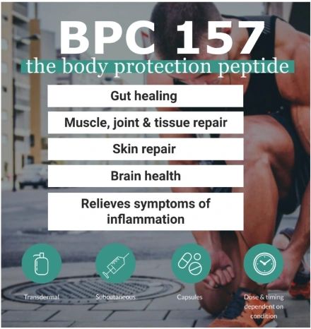 bpc-157 peptide gut healing BPC -157 Peptide Therapy