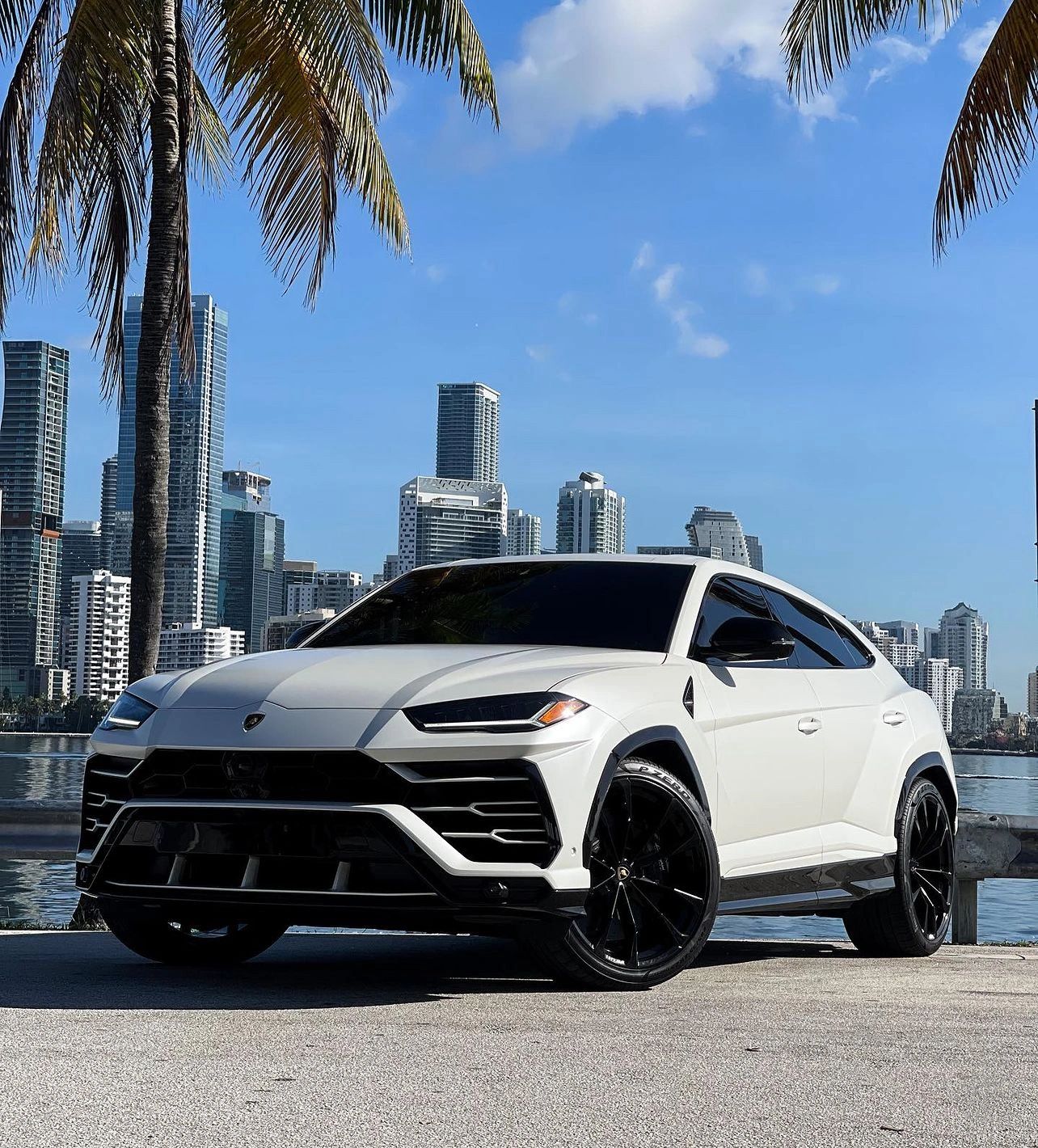 2024 Lamborghini Urus White