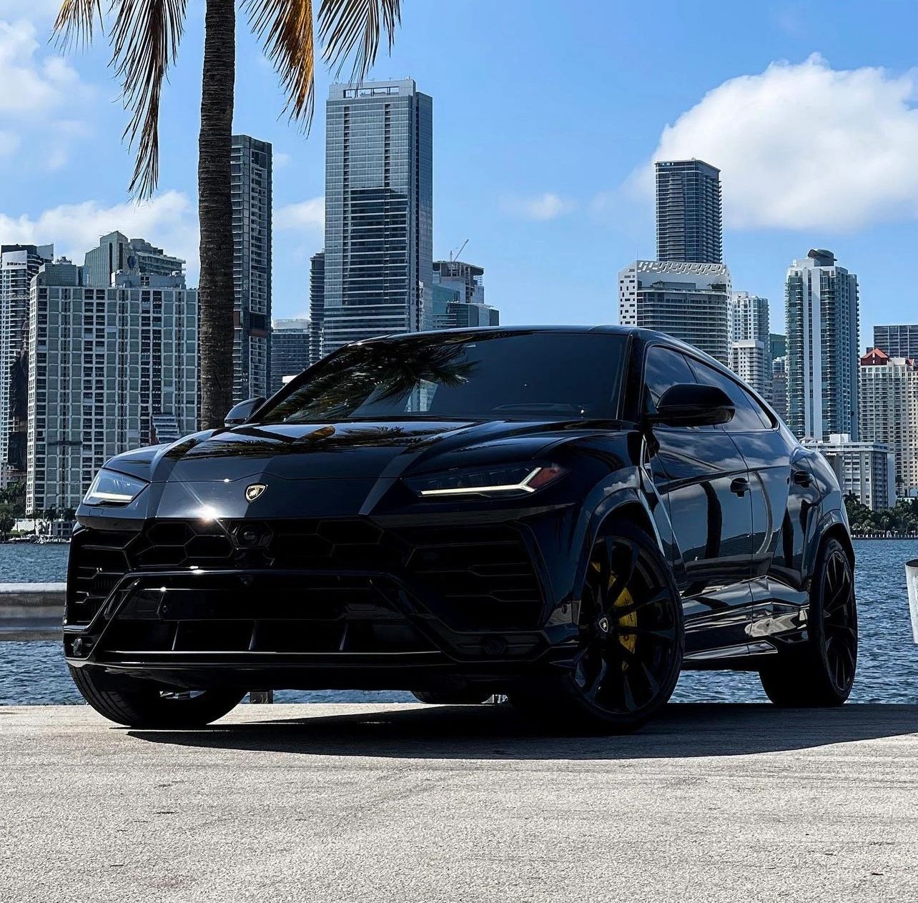 2024 Lamborghini Urus Black With Starlights