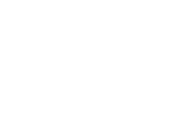 Insight Analytics