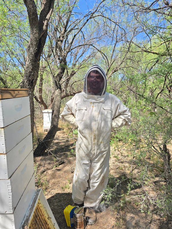 Person in a beekeeping suit standing near beehives in a wooded area.