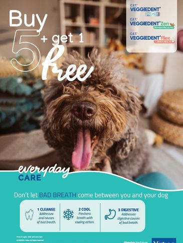 Ad for dog dental care, buy 5 get 1 free offer.