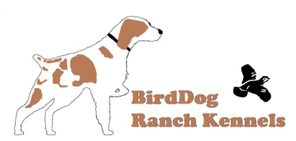 BirdDog Ranch Kennels