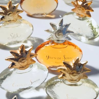 Elegant perfume bottles with sun-shaped gold caps arranged on a white surface.