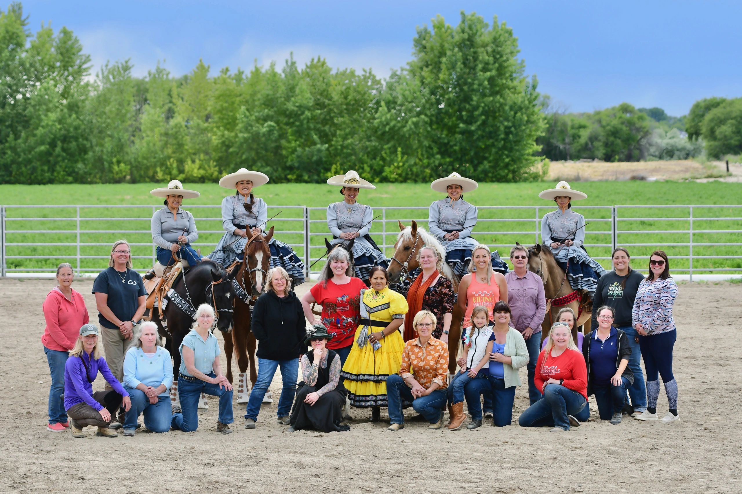 LEARN ABOUT SIDESADDLES