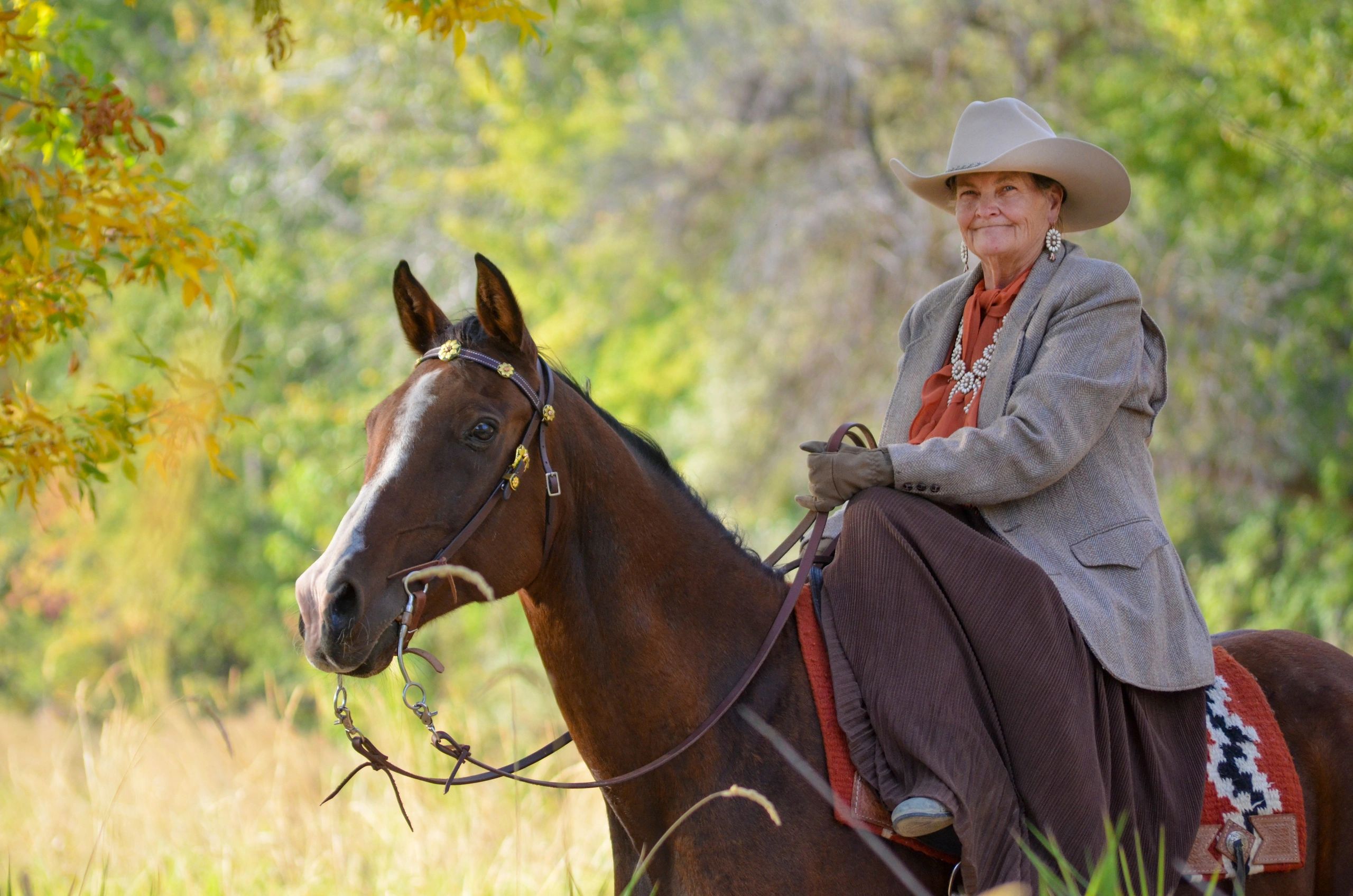 LEARN ABOUT SIDESADDLES