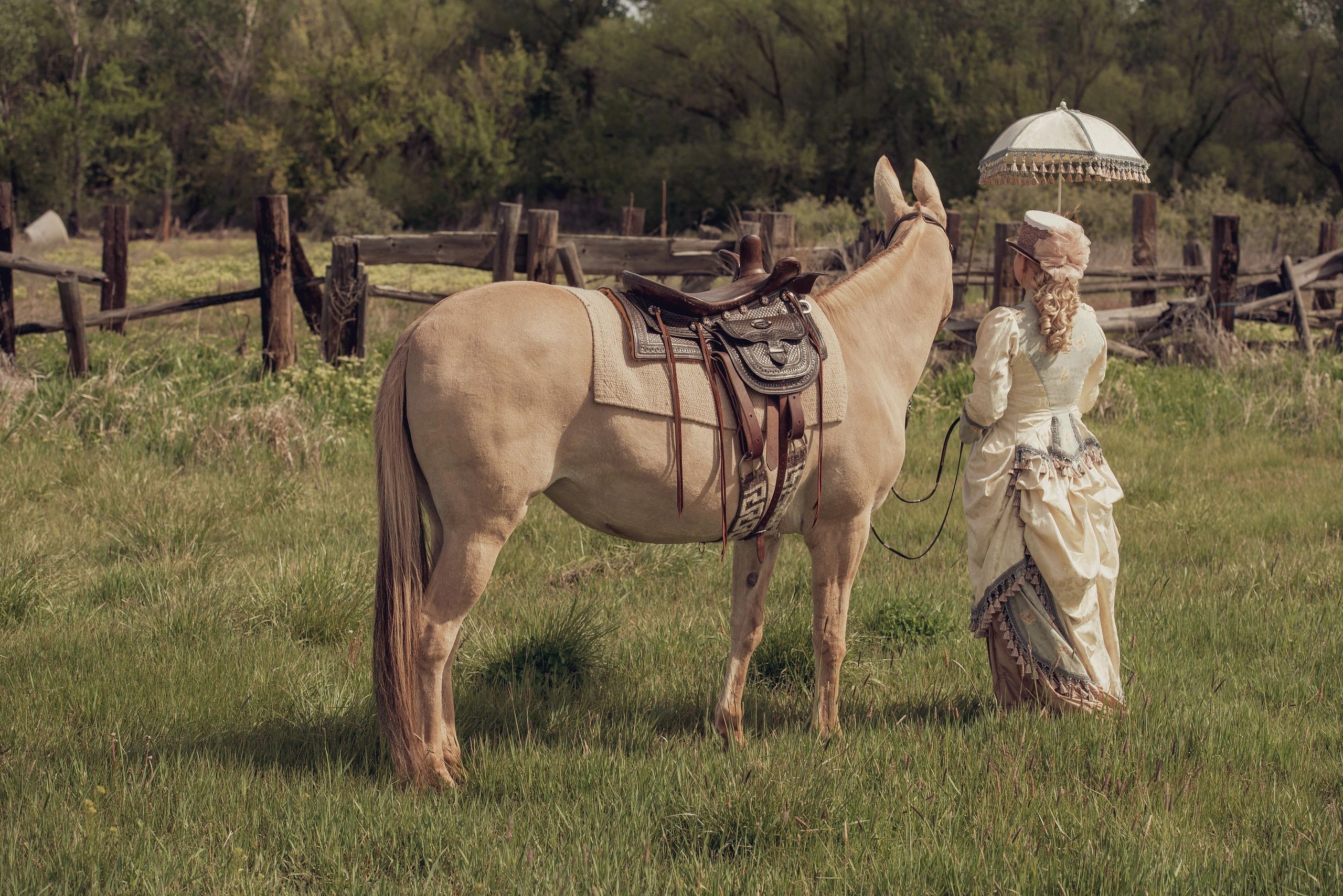 LEARN ABOUT SIDESADDLES