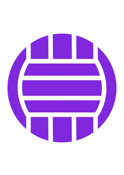 A purple netball 
