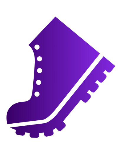 A hiking shoe or boot 