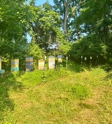 Bomb Tech Beekeeper