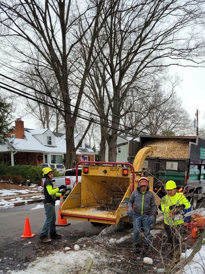 Emergency winter storm tree damage response in Alexandria and Fort Hunt, VA Emergency tree response