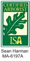 Sean Harman's Tree Care