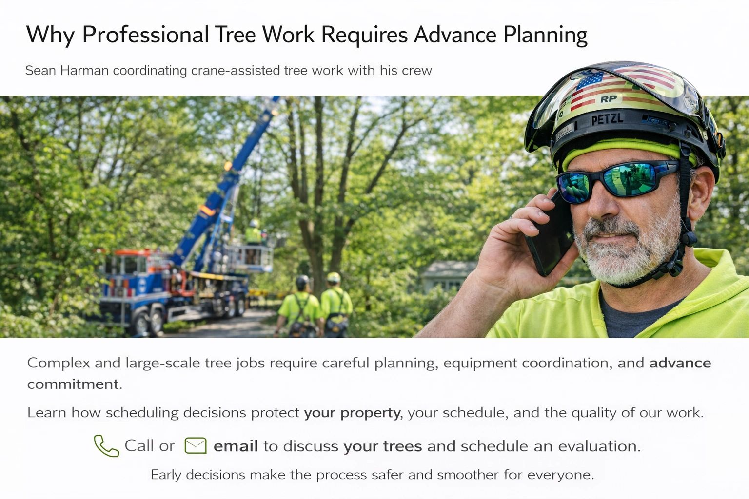 Why Professional Tree Work Requires Advance Planning