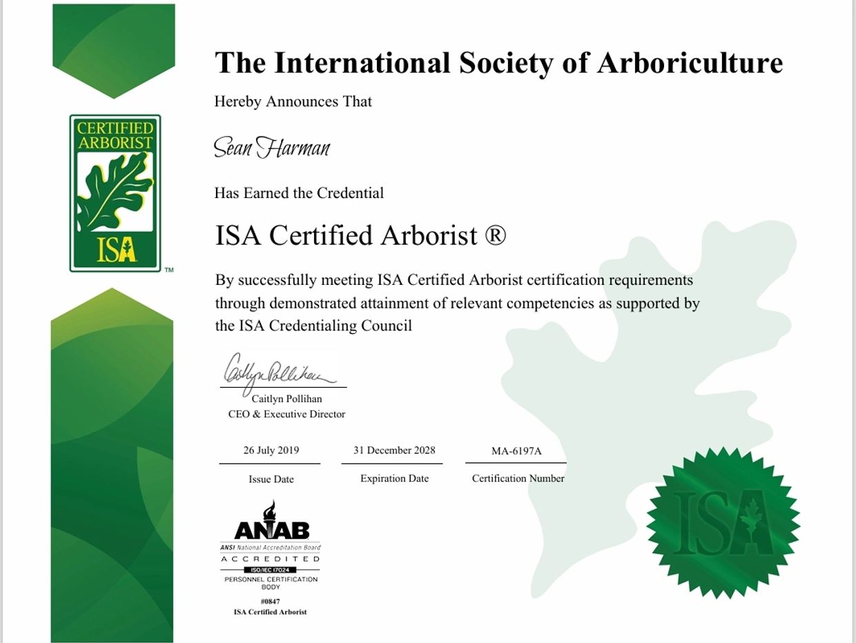 ISA Certified Arborist Sean Harman (MA-6197A) serving Fort Hunt and Alexandria, VA
