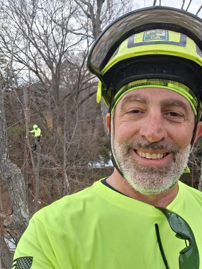 Sean Harman, ISA Certified Arborist (MA-6197A), 60 feet aloft performing rope-access pruning.
