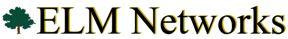 ELM Networks