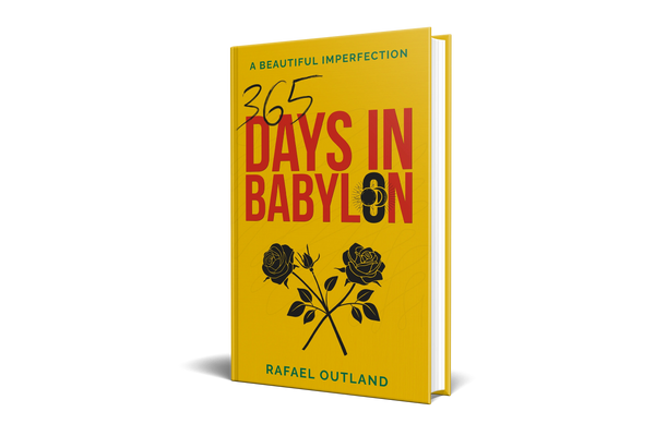 A BEAUTIFUL IMPERFECTION: 365 DAYS IN BABYLON