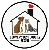 Boomer's Best Buddies Rescue
