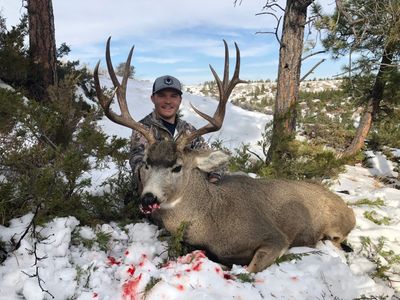 Idaho Deer HuntsBig Game Hunting