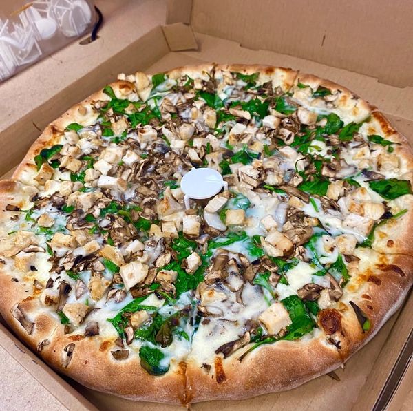 CHICKEN ALFREDO