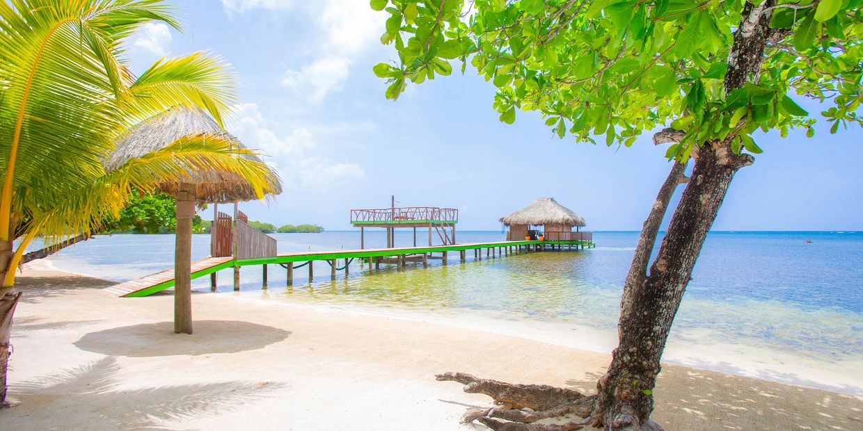 Roatan Entry Requirements Reefside Retreat