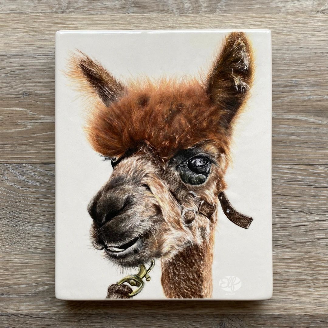 Hand painted Alpaca portrait on ceramic box canvas from Fernyrigg alpaca farm Northumberland 