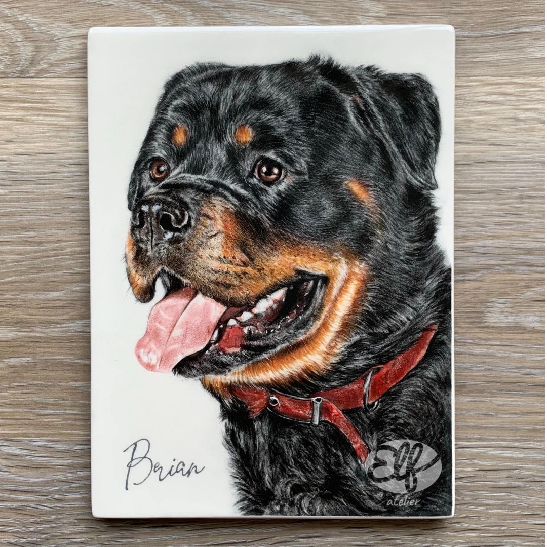 Commissioned portrait of Brian the Rottweiler.