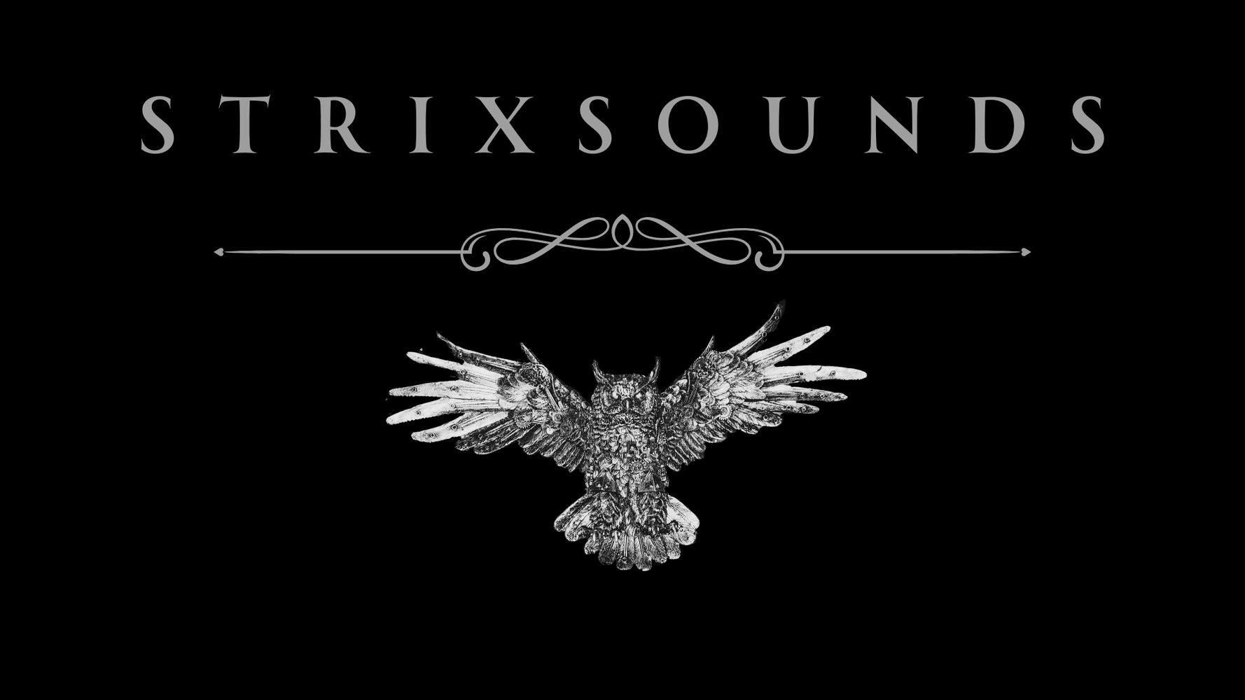 Elegant logo of STRIXSOUNDS with a detailed owl illustration.