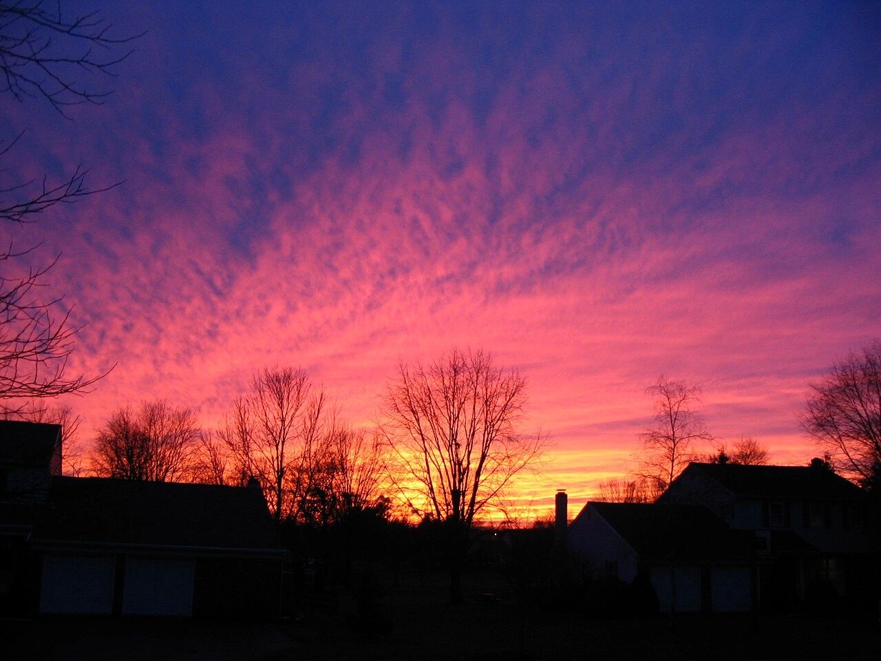 Vibrant sunset with silhouetted trees and houses under a colorful sky.