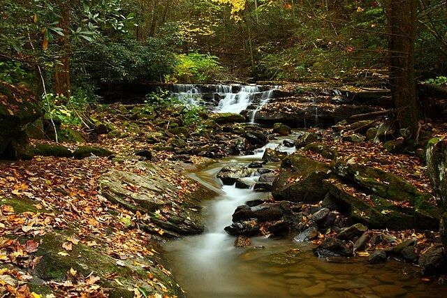 West Virginia Fall Foliage Creek Waterfalls