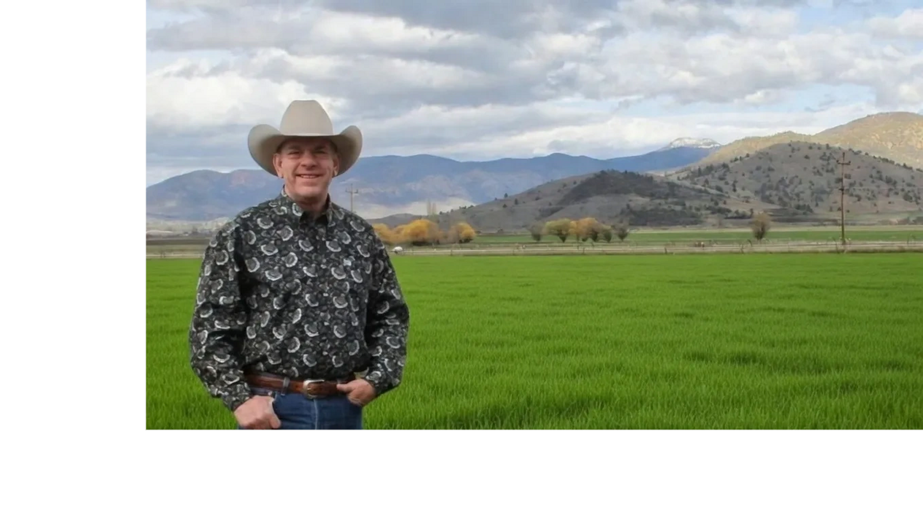 dWeb.News Publisher Daniel Webster on x.com/danielwebster