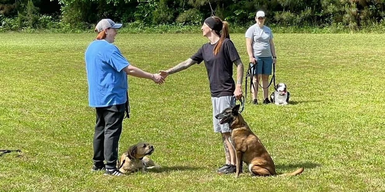 Retired K9 Training Near Dog Training Elite, 56% OFF