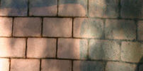 Pavers half clean by Mr. Clean Pressure Washing.